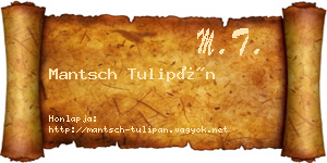 Mantsch Tulipán névjegykártya